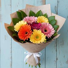 Букет цветов из:  Герберы в Крестцах