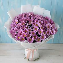 Букет цветов из:  Хризантемы в Крестцах