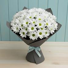 Букет цветов из:  Хризантемы в Крестцах