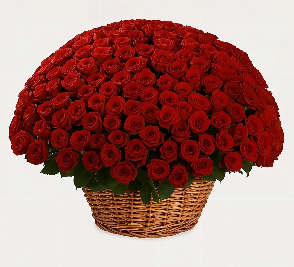 Премиум букет из: Розы в Крестцах