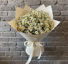 Букет цветов из:  Ромашки в Крестцах