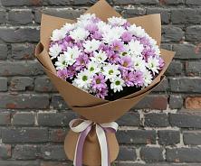 Букет цветов из:  Хризантемы в Крестцах