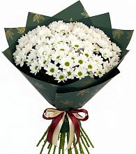 Букет цветов из:  Хризантемы в Крестцах