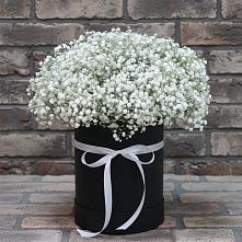 Цветочная композиция из Гипсофила в шляпной коробке #REPLACE_PRED# Крестцах